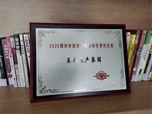 2020鄭州市房地產市場地位領先企業(yè)