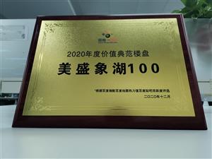2020年度價值典范樓盤